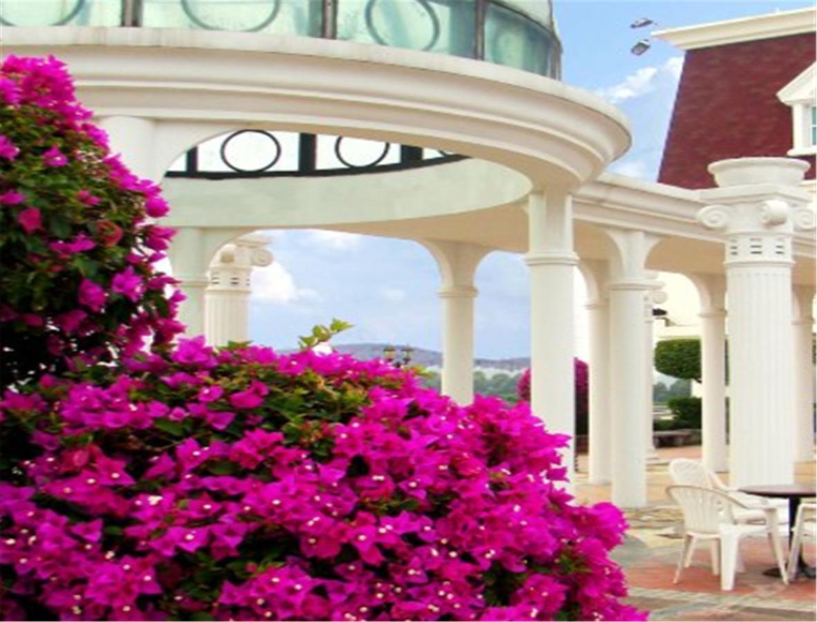 Clifford Golden Lake Hotel Foshan Exteriör bild